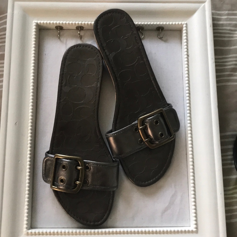 Coach Sandals : The Leanne